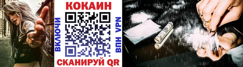 Cocaine FishScale  Купить где  Райчихинск 