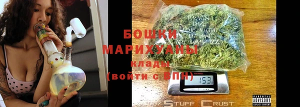 ECSTASY Ельня