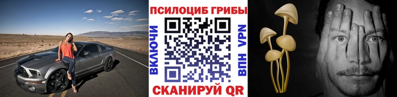 Псилоцибиновые грибы Psilocybe  Купить  Райчихинск 