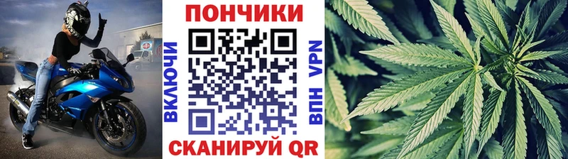 Купить где  Райчихинск  Каннабис VHQ 